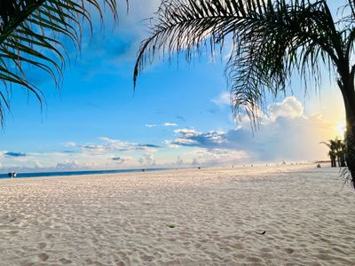 Palms framing a beautiful view
