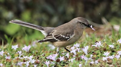IMG_4456 (4) - Copy.JPG