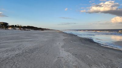 20230305_175634 (Large).jpg