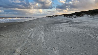 20230305_175653 (Large).jpg