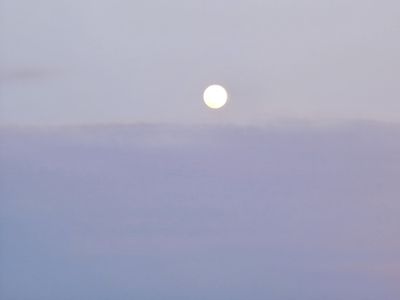 20230306_181659 (Large).jpg