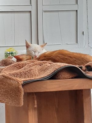 20191102_142614.jpg