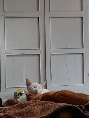20191102_142904.jpg
