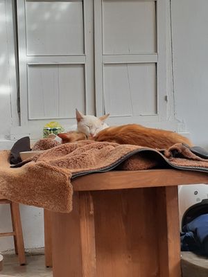 20191102_142607.jpg