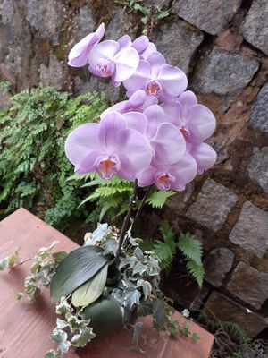 20191102_142435.jpg