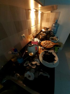 20230819_153124.jpg