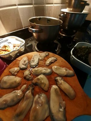 20230819_153041.jpg