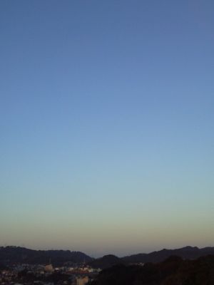 image.jpg