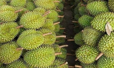 IMG_9395.jpeg