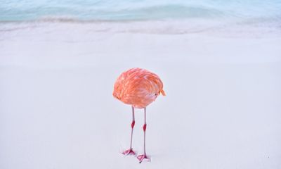 IMG_9387.jpeg