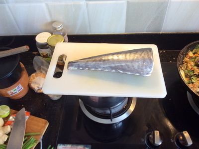wahooceviche