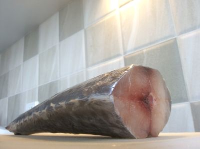 image.jpg