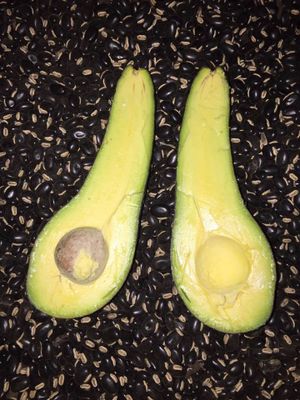 image.jpg