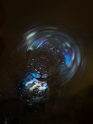 IMG_6859.jpeg