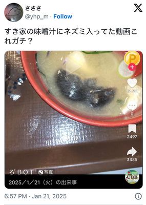 IMG_1019.jpeg