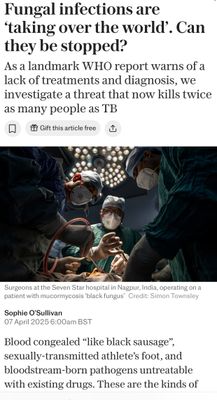 IMG_1484.jpeg