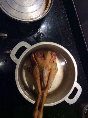 image.jpg