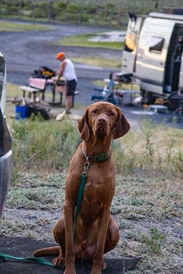 IMG_9690.jpg
