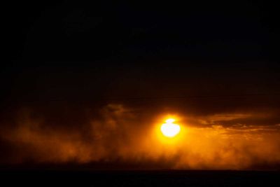 IMG_9691.jpg