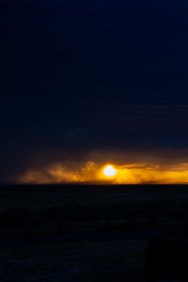 IMG_9693.jpg