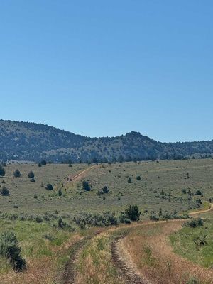 IMG_8370.jpg