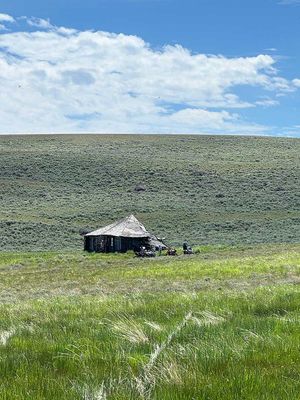 IMG_8382.jpg