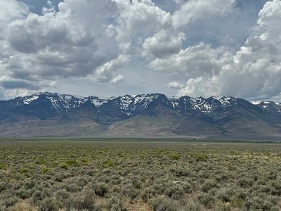 IMG_8402.jpg