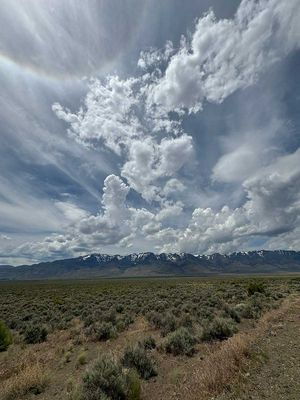 IMG_8403.jpg