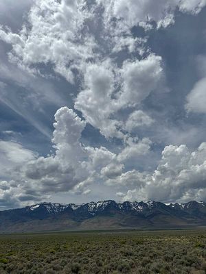 IMG_8404.jpg