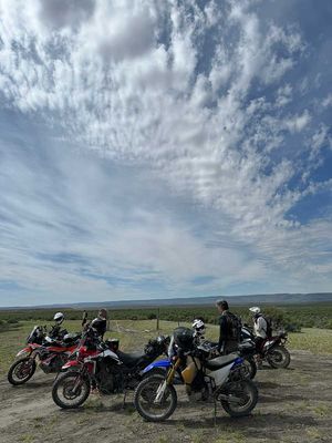 IMG_8444.jpg