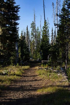 IMG_0260.jpg