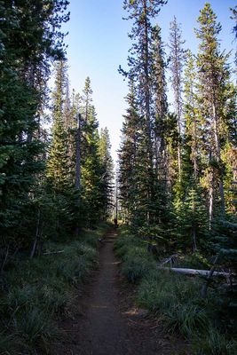 IMG_0266.jpg