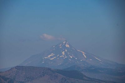 IMG_0272.jpg