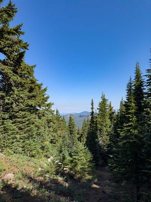 IMG_0998.jpg