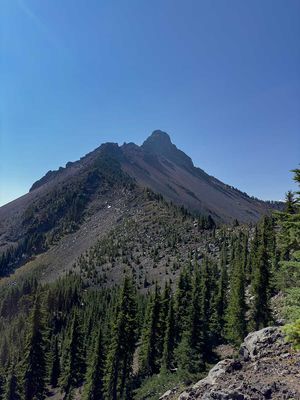 IMG_1003.jpg