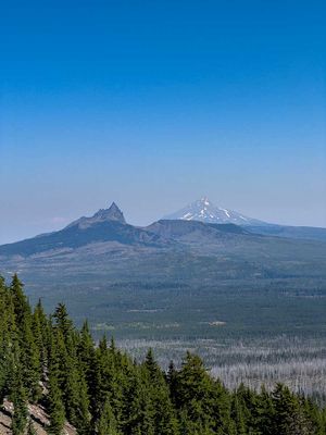 IMG_1006.jpg