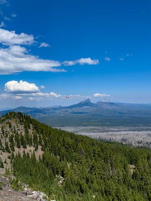 IMG_1016.jpg