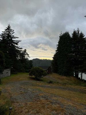 IMG_1028.jpg