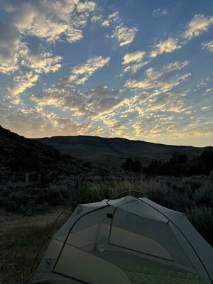 IMG_9676.jpg