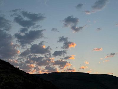 IMG_9679.jpg