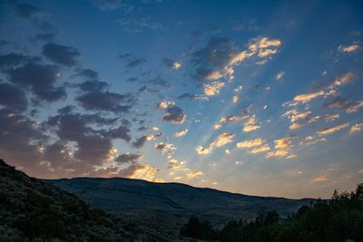IMG_9990.jpg