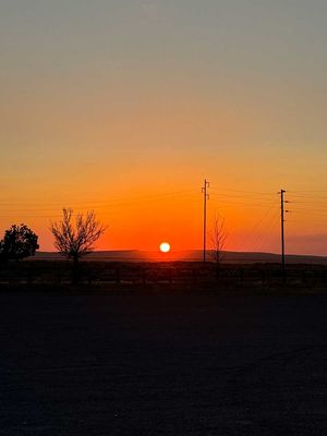 IMG_9787.jpg