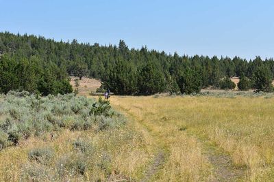 DSC_5205.jpg