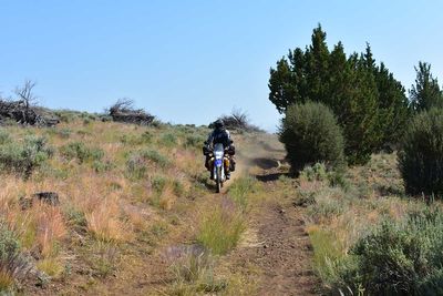 DSC_5212.jpg