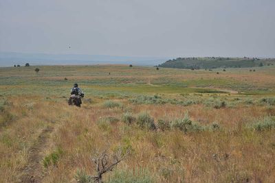 DSC_5215.jpg