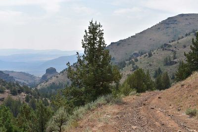 DSC_5228.jpg