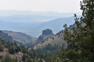 DSC_5229.jpg