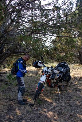 IMG_0009.jpg
