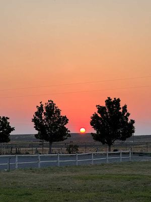 IMG_9793.jpg