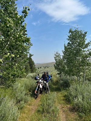 IMG_9818.jpg